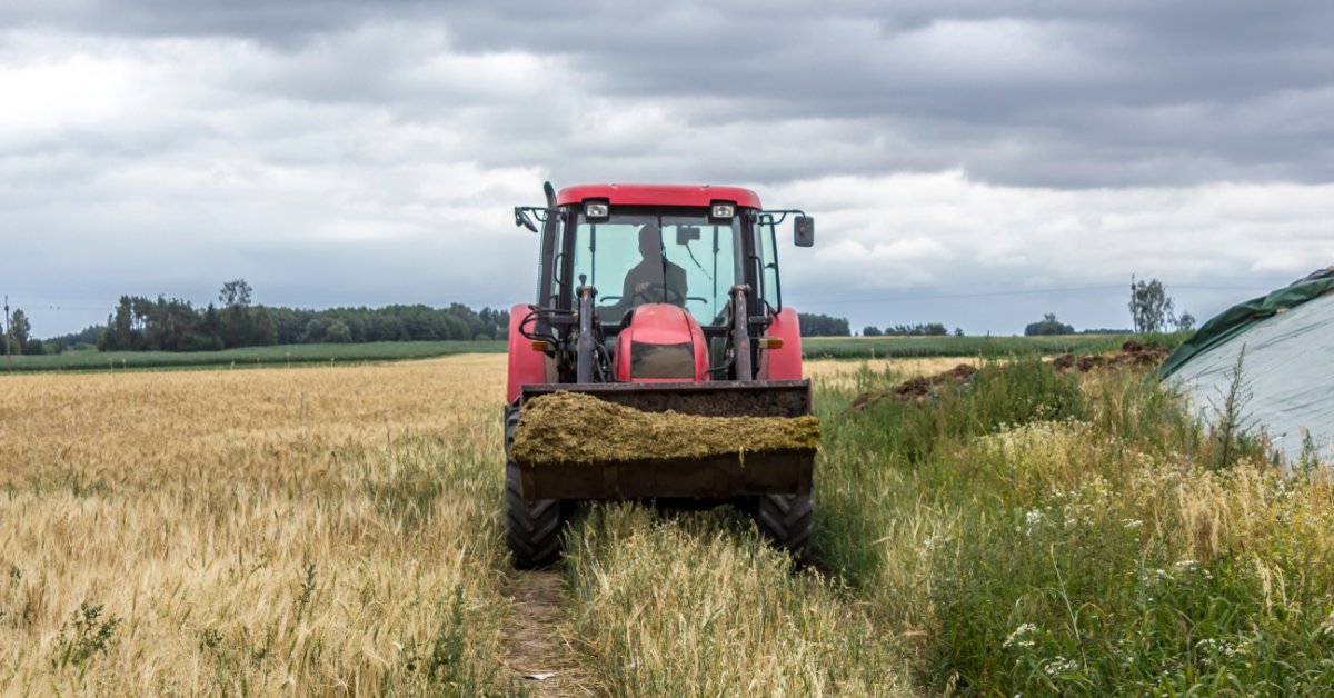 A red tractor with a front loader driving through a grain field, carrying plant material under a cloudy sky.