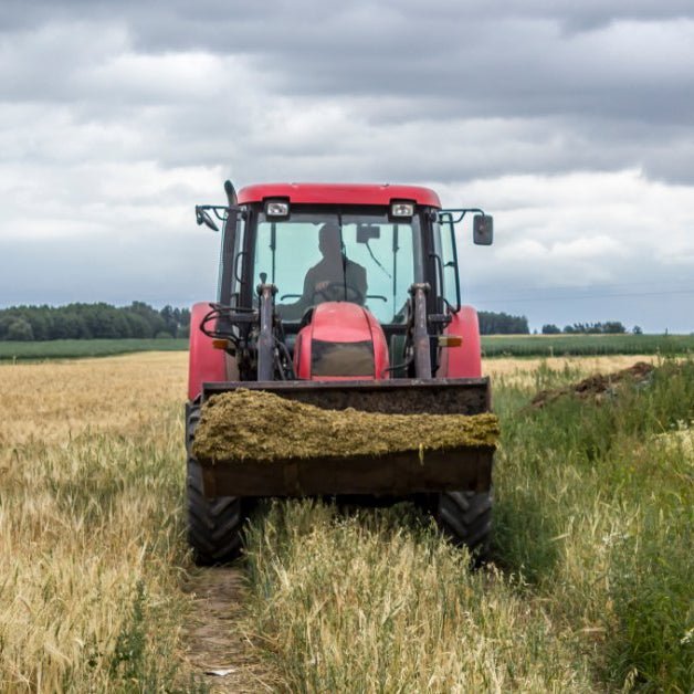 A red tractor with a front loader driving through a grain field, carrying plant material under a cloudy sky.