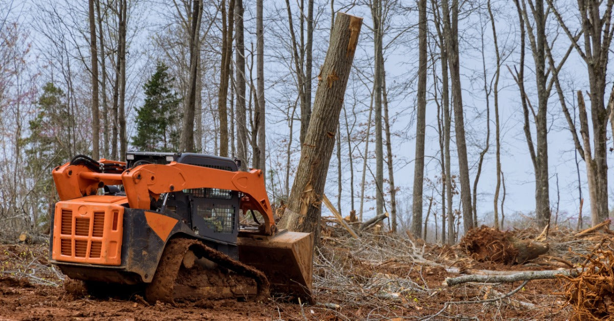 An orange skid loader with a bucket attachment pushing over a section of a tree in the middle of a wooded area.