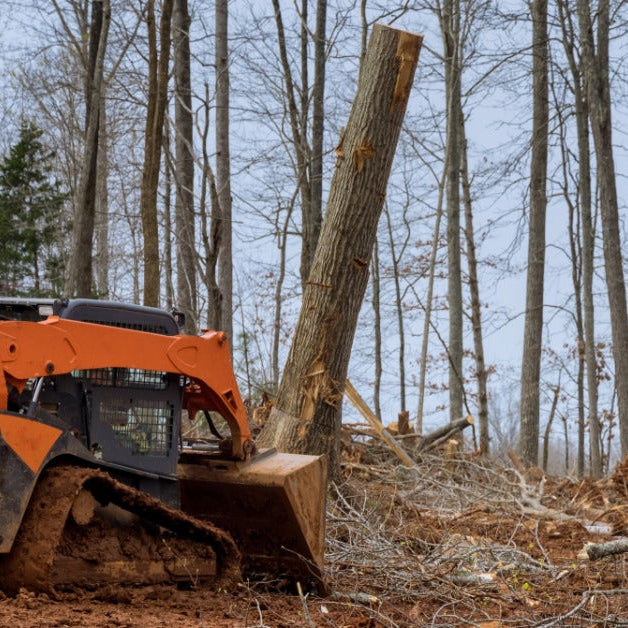 An orange skid loader with a bucket attachment pushing over a section of a tree in the middle of a wooded area.