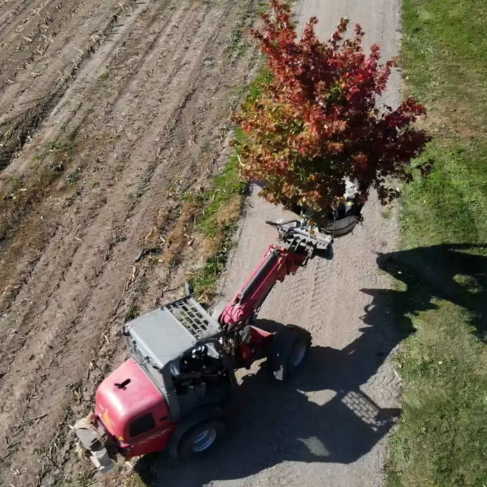 Tree Spade Attachment for Skid Steers - Baumalight DR444 Tree Transplanter Scoop