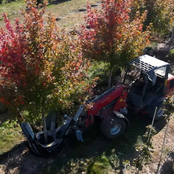 Tree Spade Attachment for Skid Steers - Baumalight DR444 Tree Transplanter Scoop