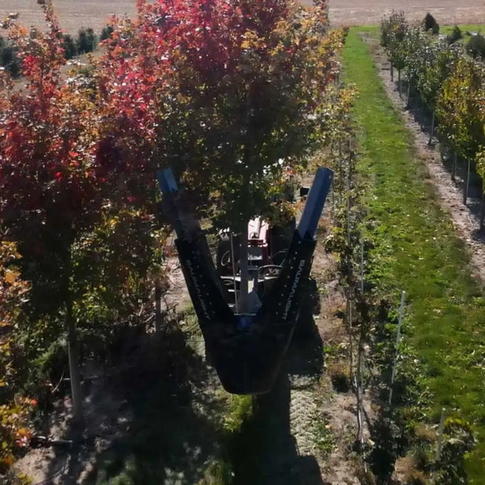 Tree Spade Attachment for Skid Steers - Baumalight DR444 Tree Transplanter Scoop