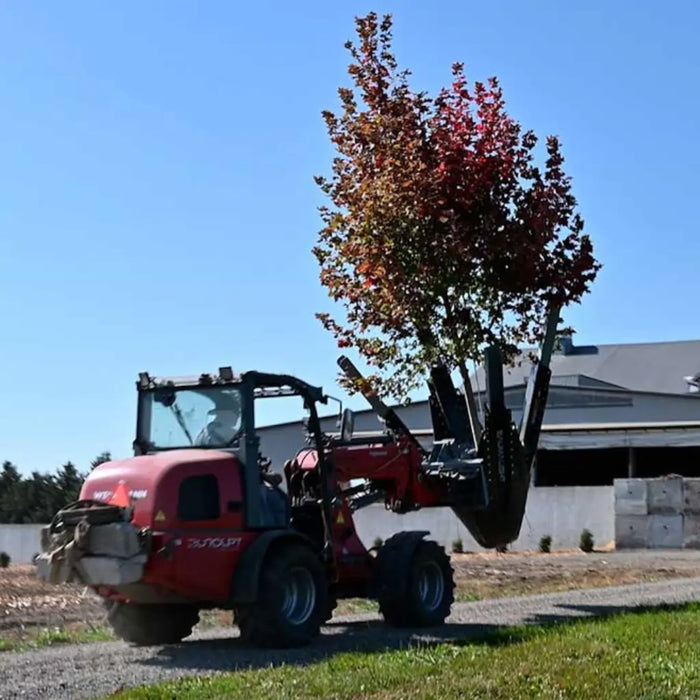 Tree Spade Attachment for Skid Steers - Baumalight DR444 Tree Transplanter Scoop