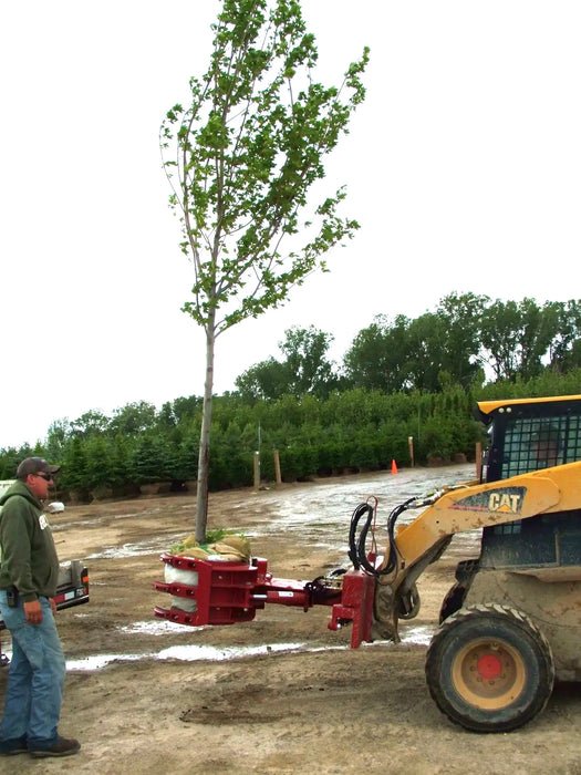 Skid Steer 5-Finger Rock & Tree Grapple - EZ Spot UR