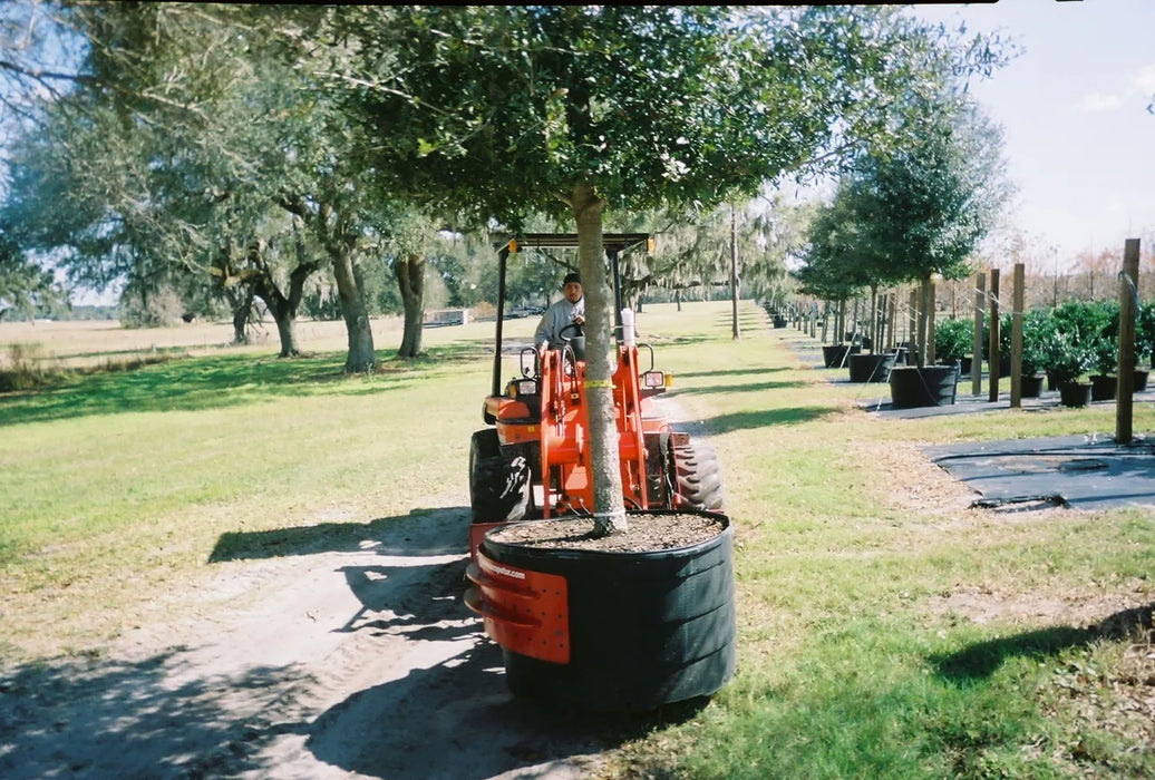 Skid Steer Tree & Nursery Pot Handler Attachment - EZ Spot UR (Universal Quick Attach)