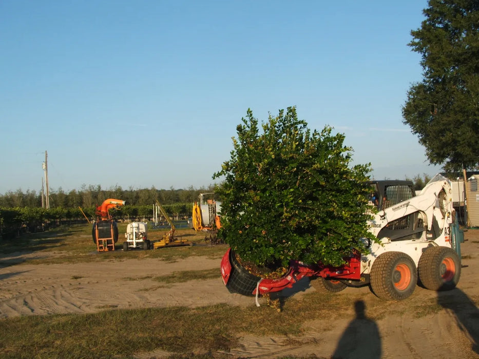 Skid Steer Hydraulic Rotating Nursery Pot Handler Attachment - EZ Spot UR (Universal Quick Attach)